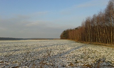 20141228_094453.jpg